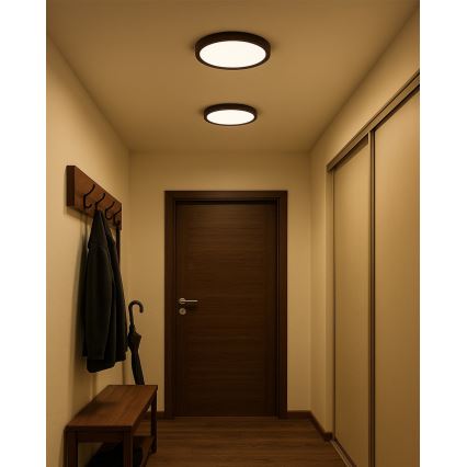 LED Stropní svítidlo LED/24W/230V 3000/4000/6500K pr. 30 cm hnědá